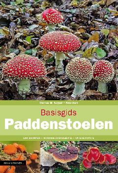 geen plaatje